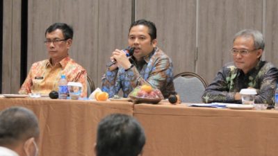 Pengendalian intern pemerintah