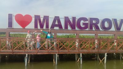 Wisata Mangrove