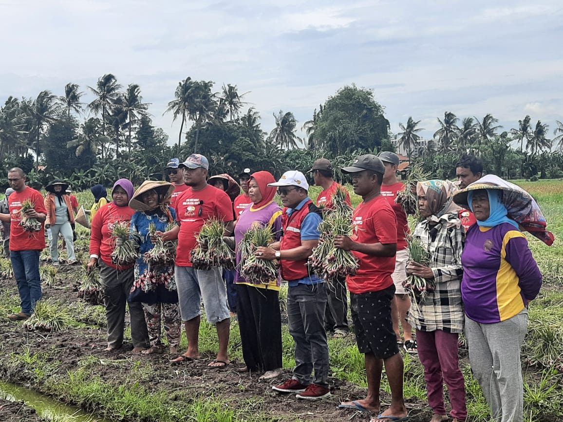Panen Raya
