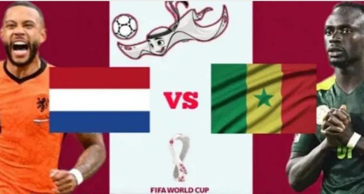 Belanda vs Senegal