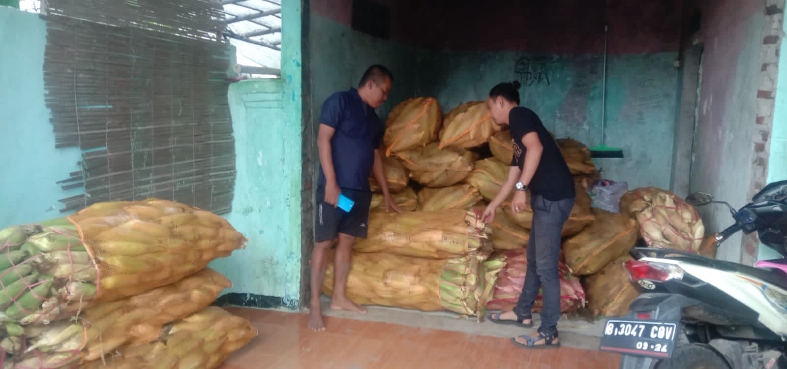 5 ton jagung