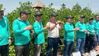 IKA USU Berkunjung ke mangrove