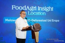 Zulkifli Hasan dinyatakan sebagai Menko Pangan terbaik dalam survei IPO Mei 2025, mencerminkan kepercayaan publik terhadap kinerja pemerintah.