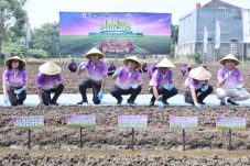 Banten optimis capai swasembada bawang dan cabai berkat Program Jaga Desa Kejagung yang mengintegrasikan teknologi dan kolaborasi