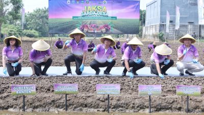 Banten optimis capai swasembada bawang dan cabai berkat Program Jaga Desa Kejagung yang mengintegrasikan teknologi dan kolaborasi