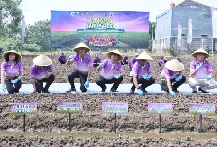 Banten optimis capai swasembada bawang dan cabai berkat Program Jaga Desa Kejagung yang mengintegrasikan teknologi dan kolaborasi